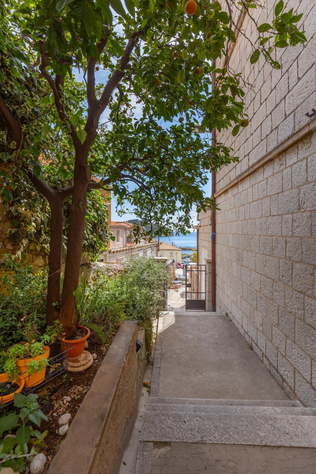 Ragusina Luxury Apartments Dubrovnik Eksteriør billede